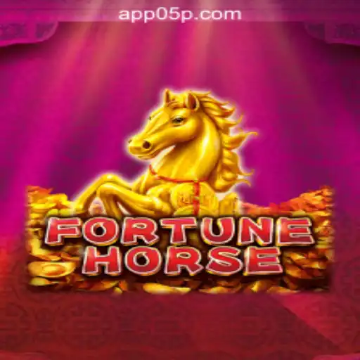 05P.com online cassino Brasil #1 User Agreement